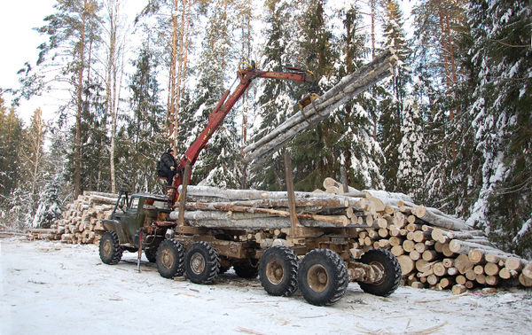 При всём богатстве лесных ресурсов крупные лесоперерабатывающие предприятия испытывают сырьевой дефицит