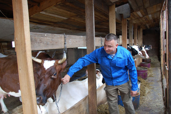 Среди тех, кто получил грант, — фермер Андрей ГАЛОЧКИН из Чудовского района. Благодаря поддержке государства он увеличил дойное стадо с 4 до 24 коров и стал в год производить более 120 тонн молока