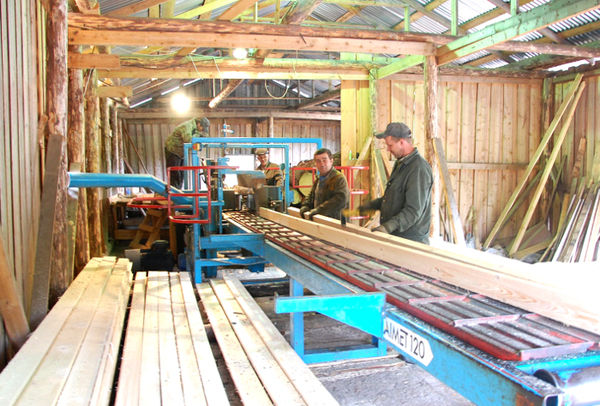 Наряду с крупными компаниями переработкой древесины занимаются и предприятия малого бизнеса