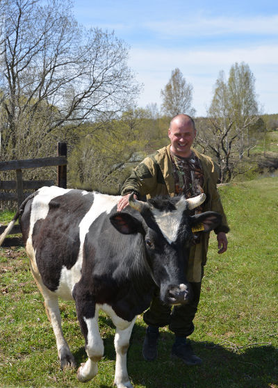 Почти треть новгородских фермеров уже сделали ставку на коров