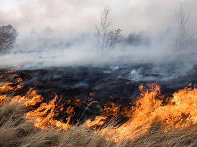 Пожары чаще случаются там, где администрации муниципалитетов вовремя не ликвидируют сухостой и свалки