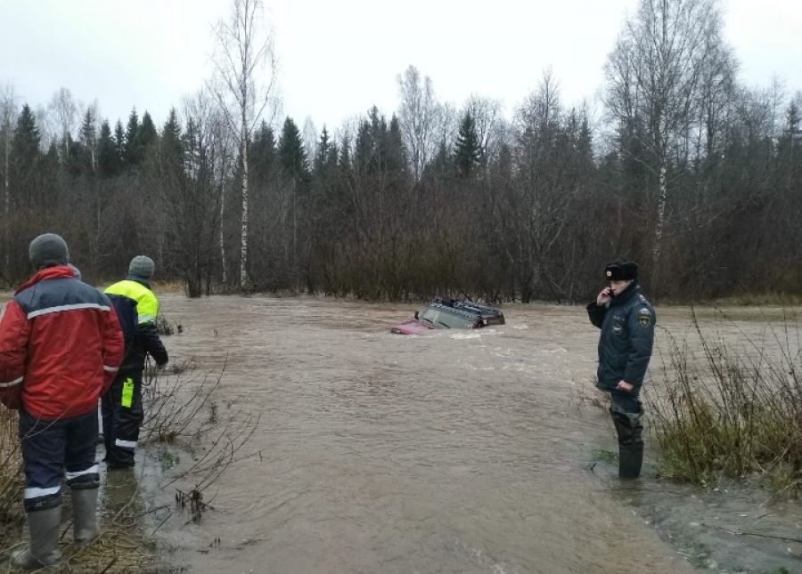 Энергетики спасли в новгородском лесу водителя, который пять часов просидел на крыше затонувшей машины (фото)