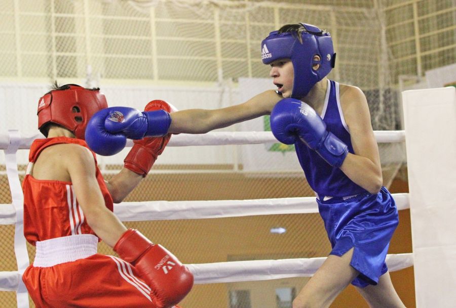 На чемпионате области по боксу лидировали новгородцы, в первенстве сильнее были спортсмены из районов