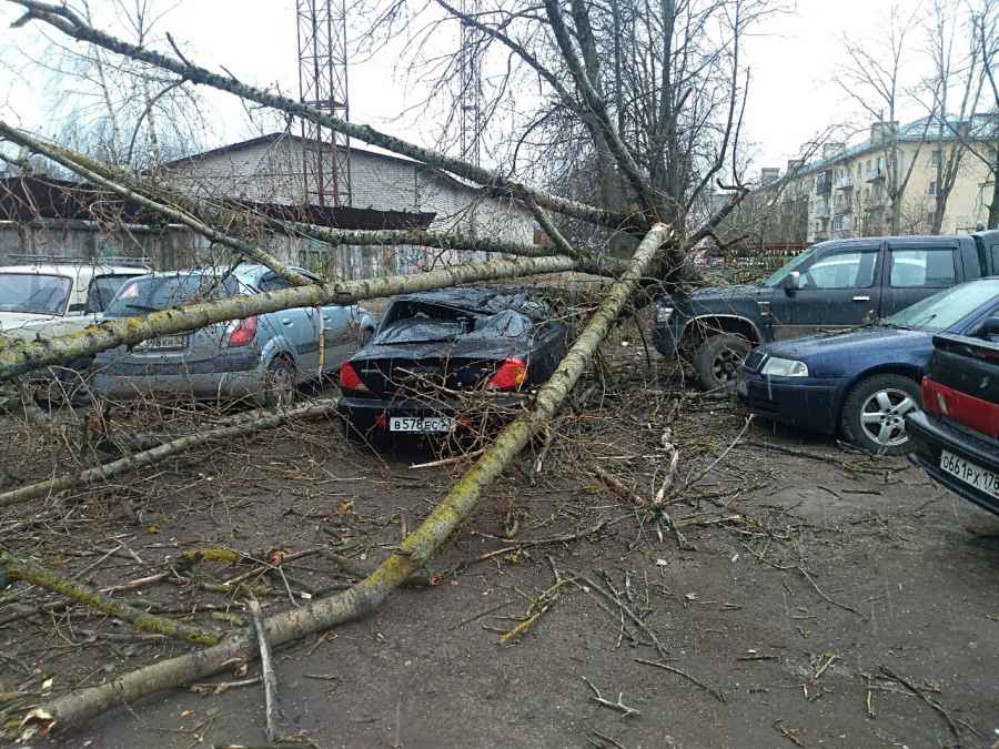 Ураган в Великом Новгороде