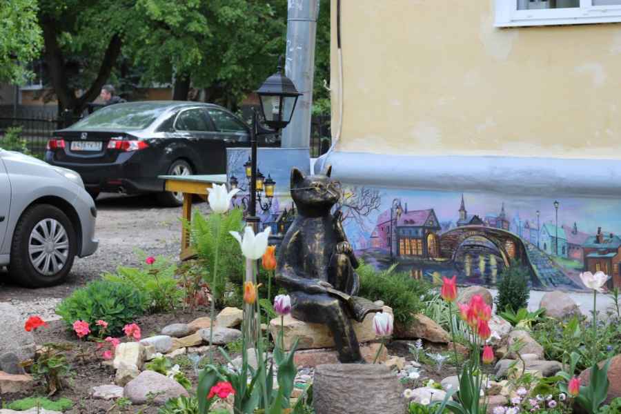 Кто они – самые известные коты Великого Новгорода?