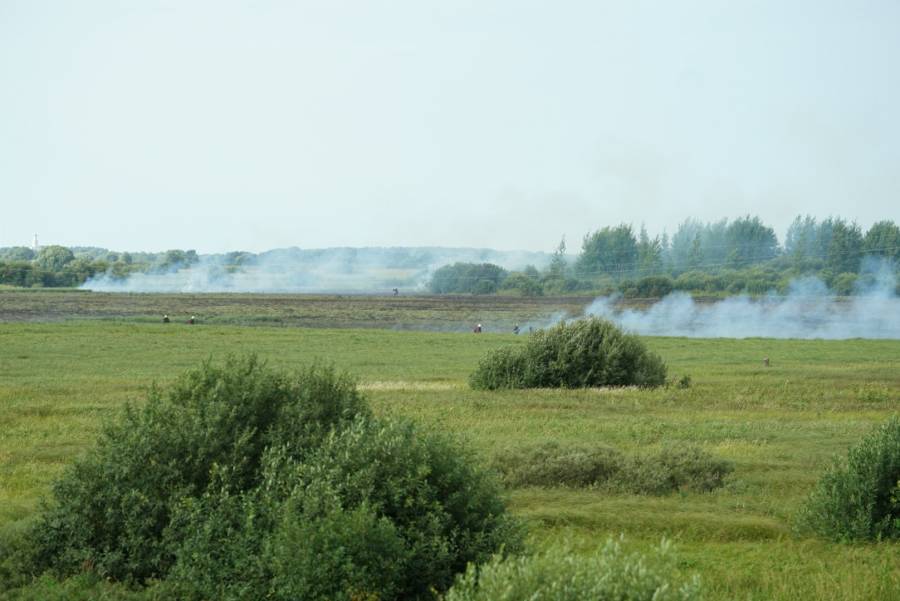 Пожарные занимаются тушением травяного пожара в Новгородском районе