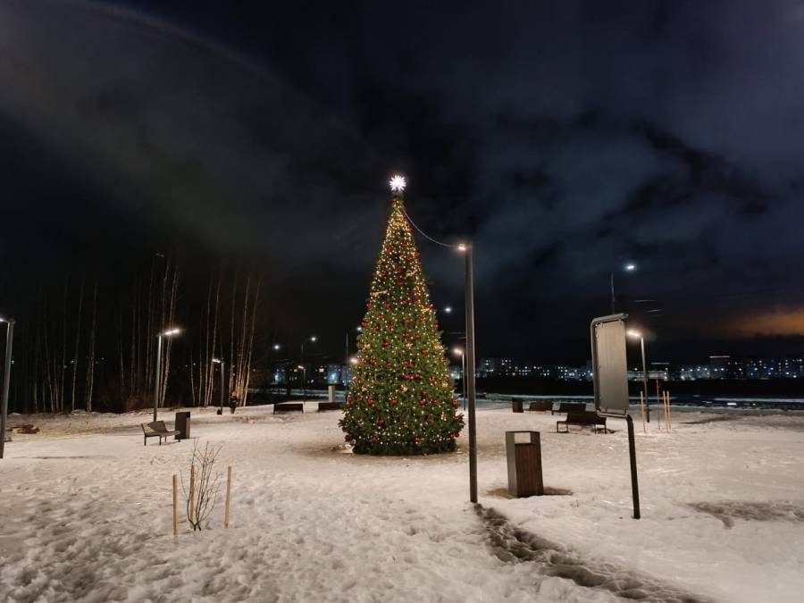 Парки и набережные Великого Новгорода украсили новогодние гирлянды и композиции