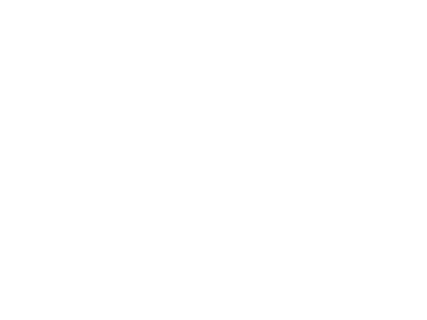 Портрет графини Екатерины Александровны Стройновской. Неизвестный художник. 1820—1830-е гг. Музей изобразительных искусств, Великий Новгород