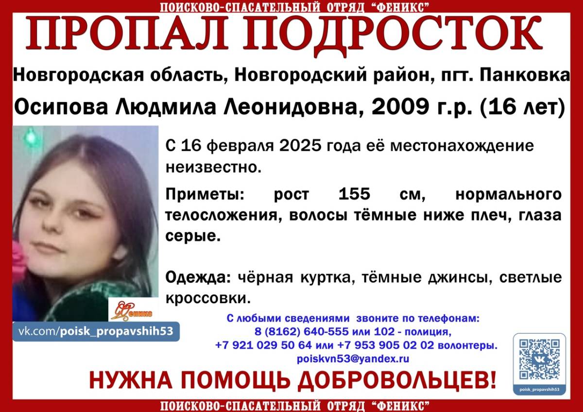 В Новгородской области разыскивают пропавшую 16-летнюю жительницу посёлка Панковка