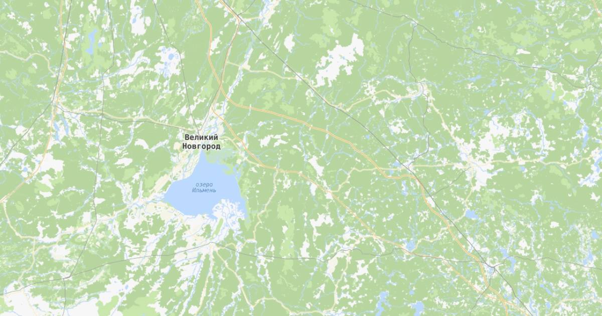 Большинство российских регионов, в том числе Новгородская область, представлены на цифровой платформ