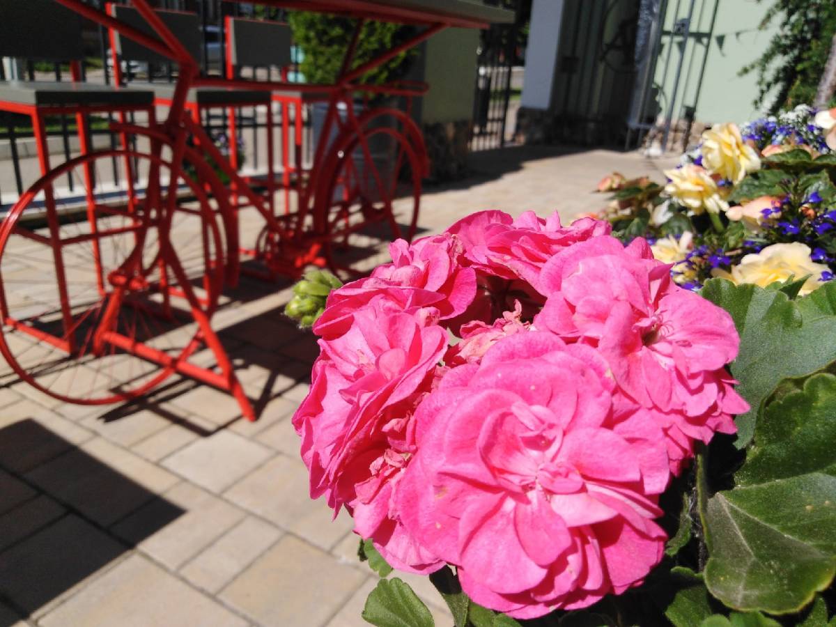 В 2024 году в российском законодательстве ввели понятие «сезонный зал обслуживания посетителей». Реч