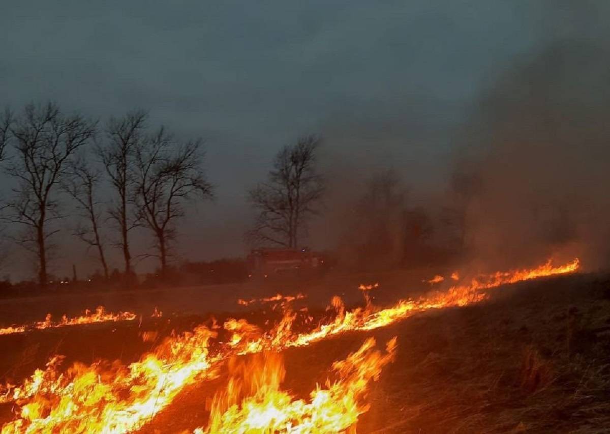 За сутки в Новгородской области произошло 11 пожаров
