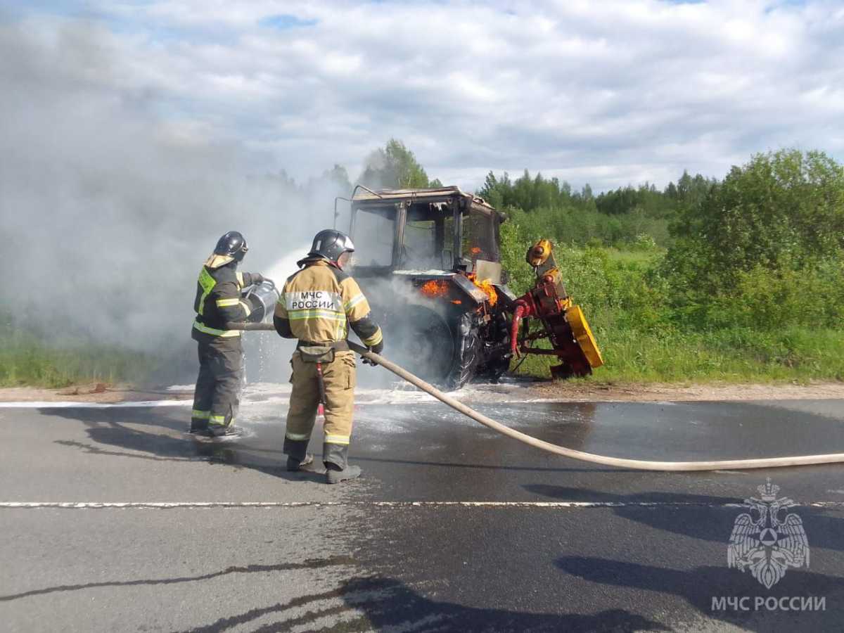 Причины пожаров устанавливают органы дознания.