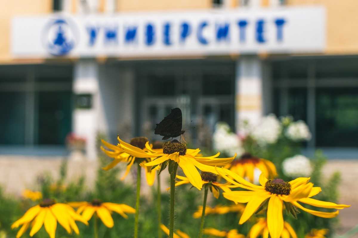 Маткапитал можно использовать для обучения детей в школе, колледже или вузе.