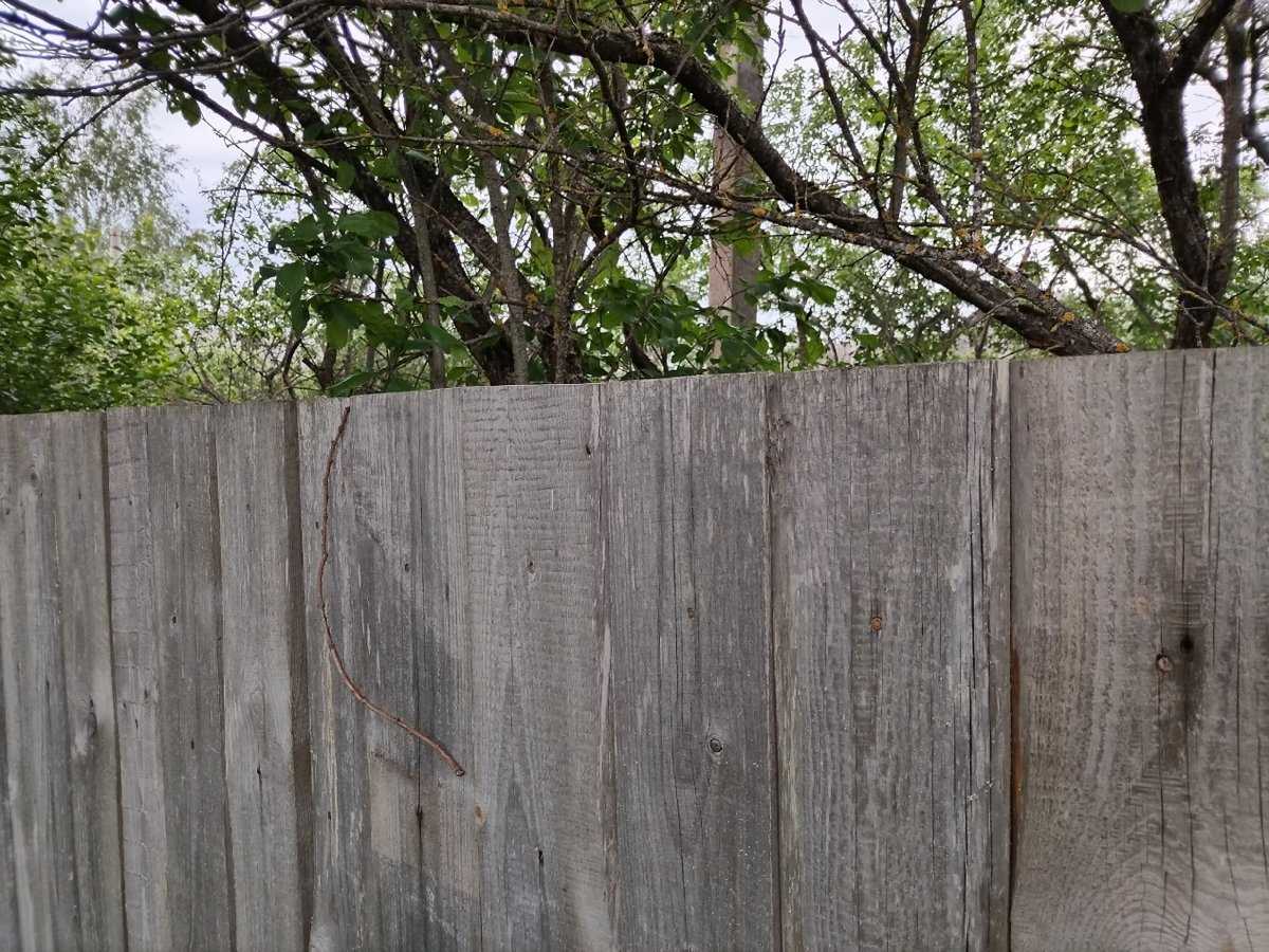 Горячая линия пройдёт 10 июля, с 10:00 до 12:00.