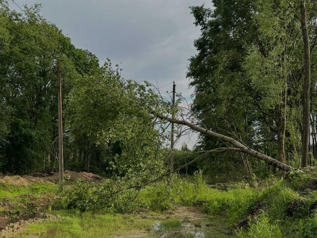 Отключена 51 линия электропередачи.