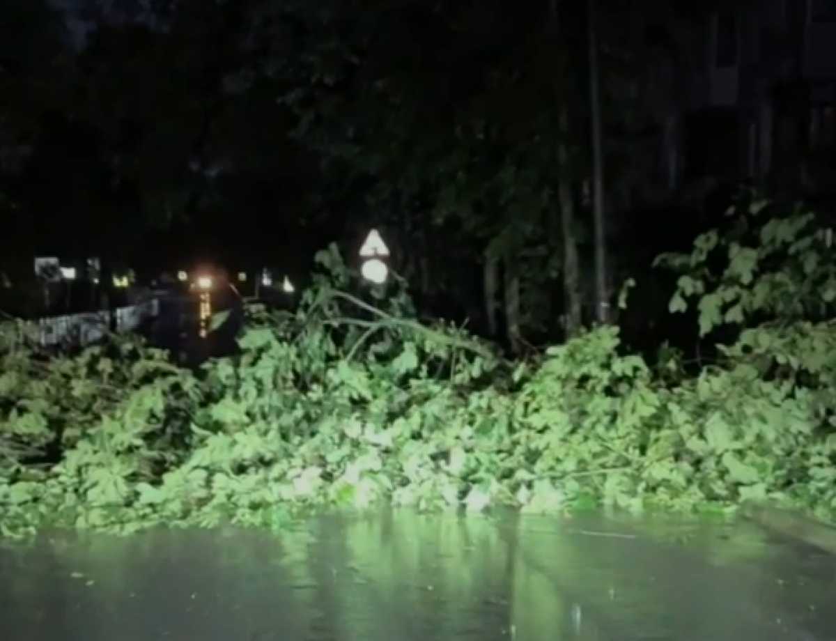 Новгородский филиал компании «Россети Северо-Запад» мобилизовал все силы и средства для восстановлен