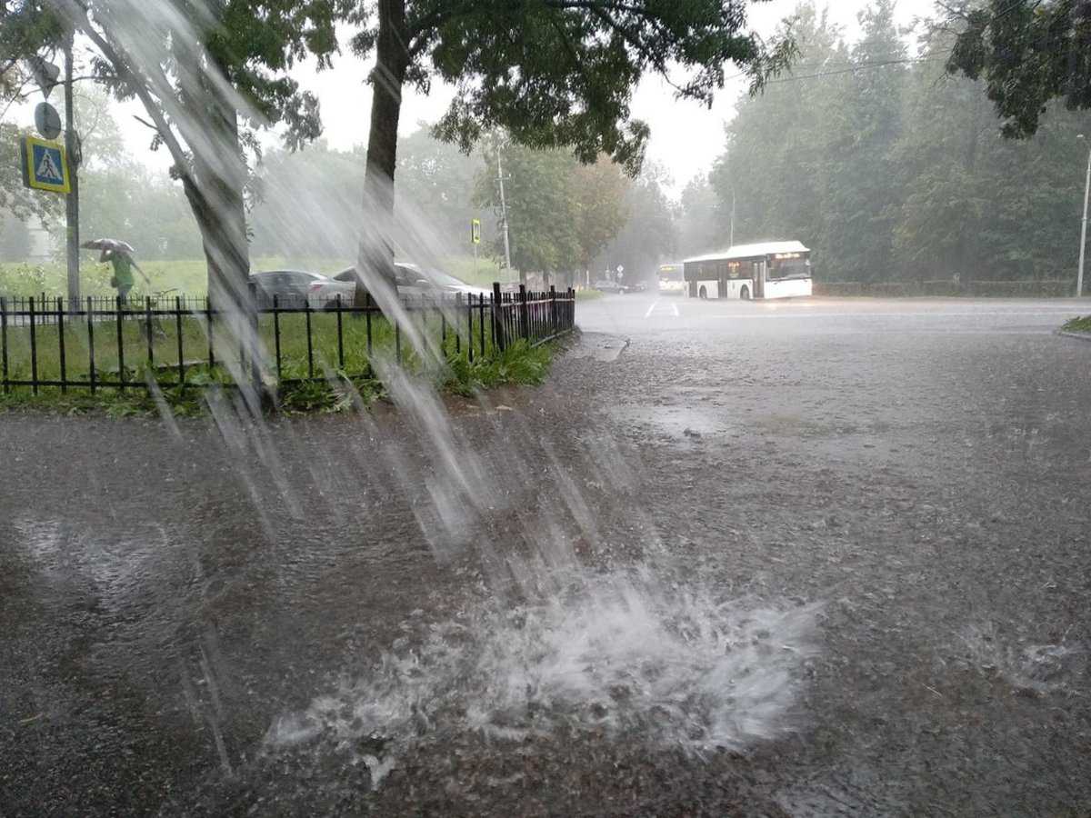 В Великом Новгороде за ночь выпал 31 мм осадков.
