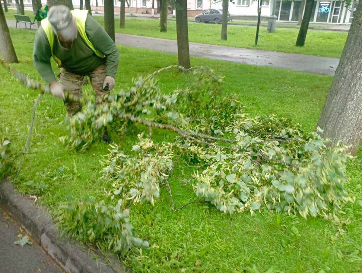 В Великом Новгороде во время шторма повалило 14 деревьев.