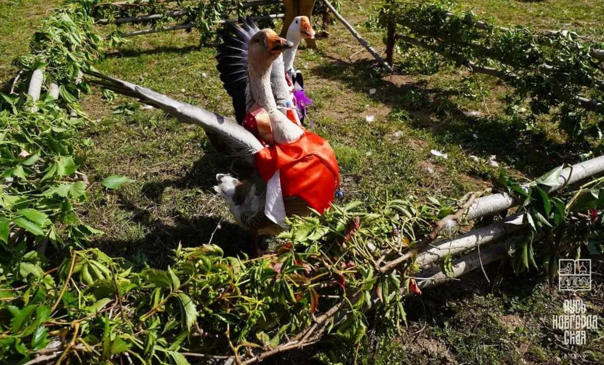 За два предыдущих года фестиваль полюбился публике и участникам. Нынче организаторы ожидают ещё боль