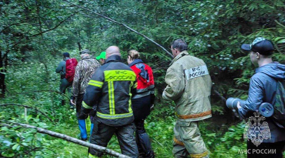 С начала года в лесах Новгородской области заблудились 60 человек.