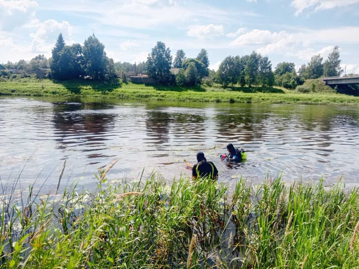 Сообщение об утонувшем на Мсте в Любытине мужчине поступило в экстренные службы вечером 22 июля.
