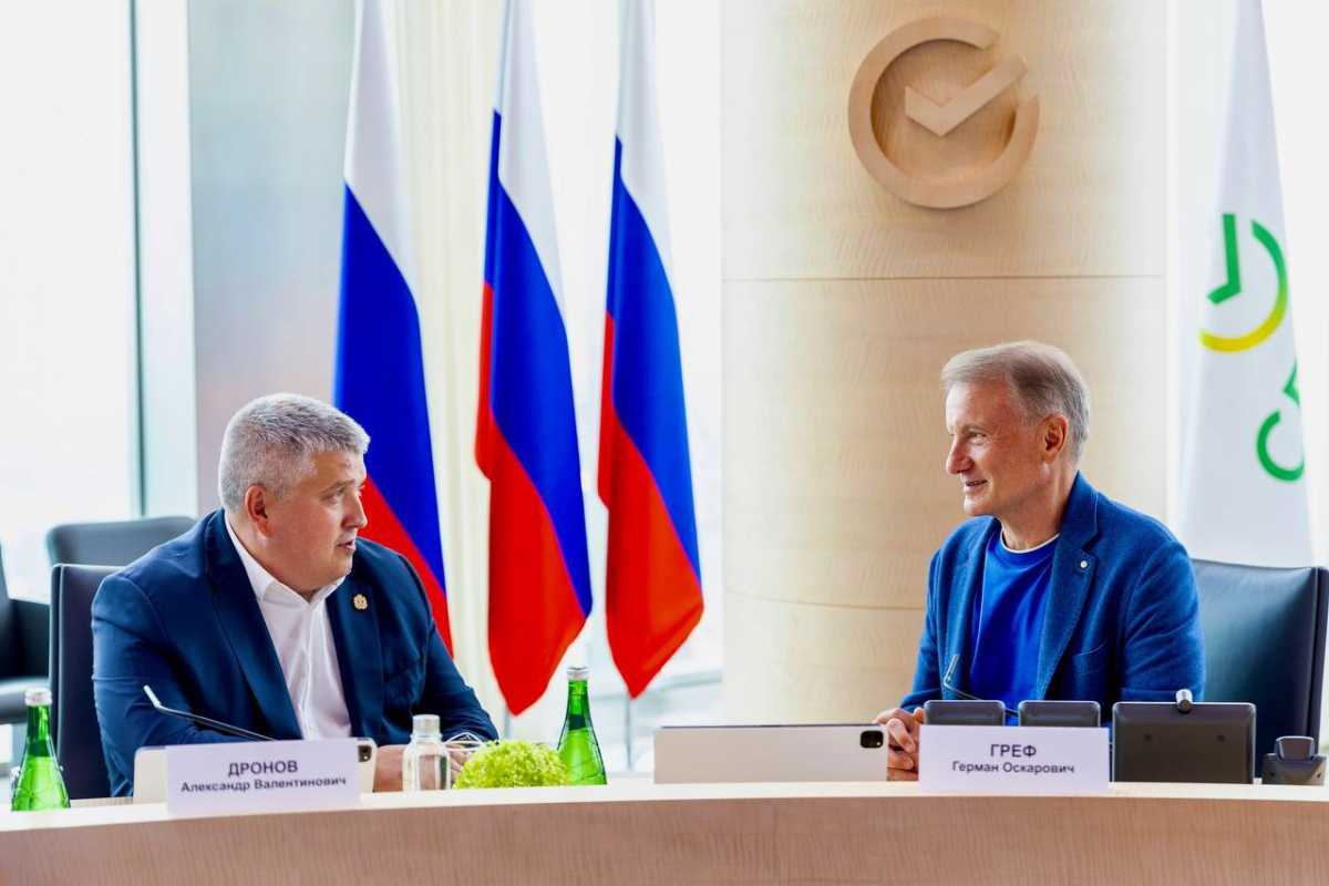 Александр Дронов и Герман Греф обсудили внедрение в Новгородской области цифровых сервисов в образов