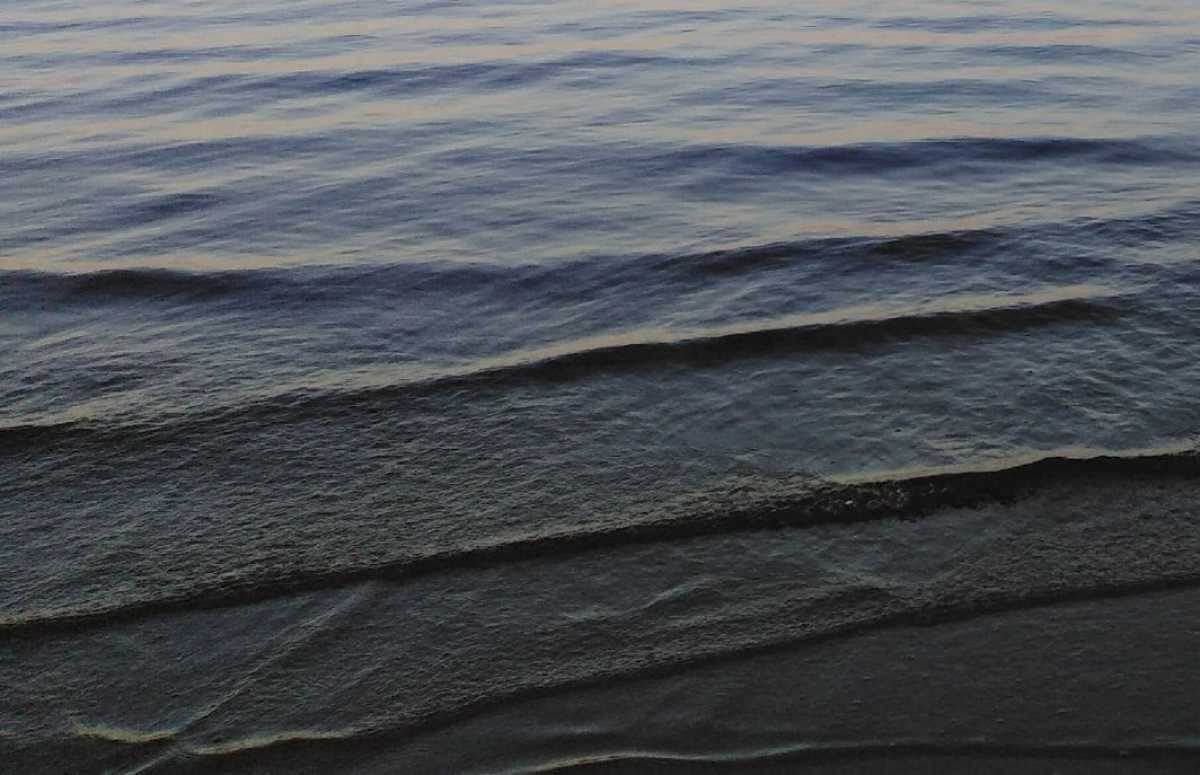 Информация об утонувшем в Пестове молодом человеке поступила в экстренные службы 21 июля.