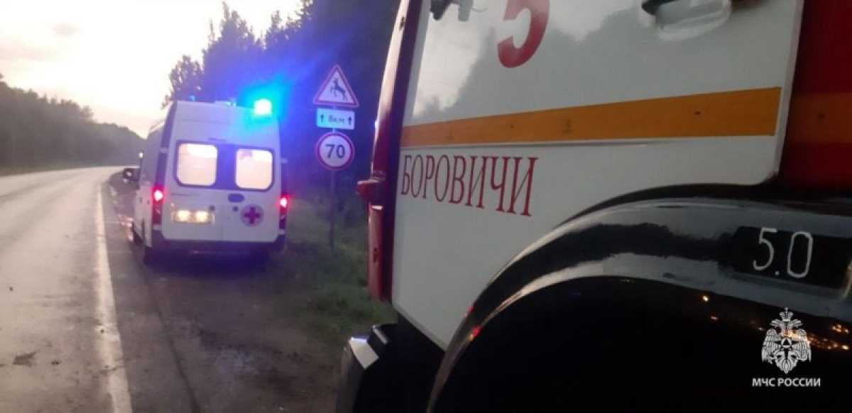 Все пострадавшие проходят сейчас лечение в Боровичской ЦРБ.