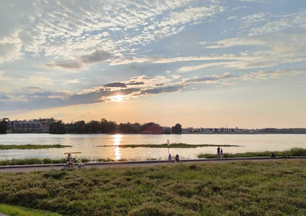 Солнца в Новгородской области сейчас в избытке.