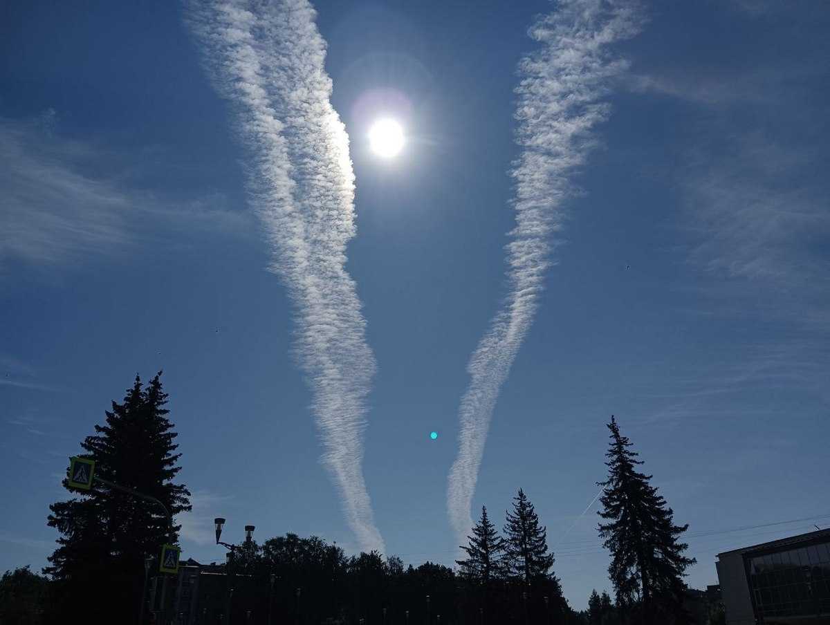 В Новгородской области установилась жара.
