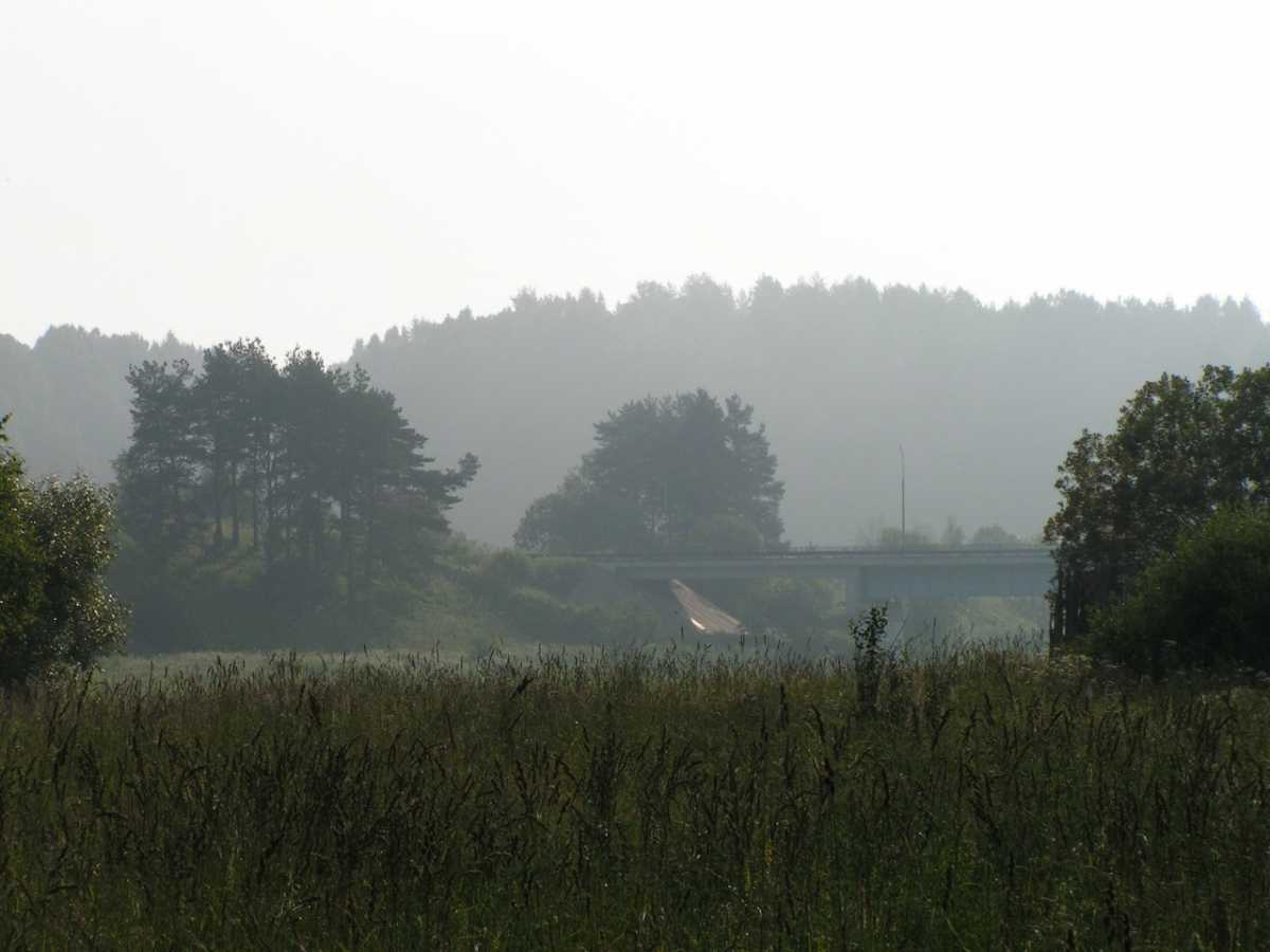 С начала 2025 года в новгородских лесах потерялись 68 человек.