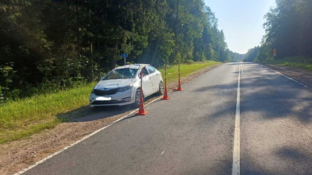 Водитель пострадал при опрокидывании автомобиля в Окуловском округе
