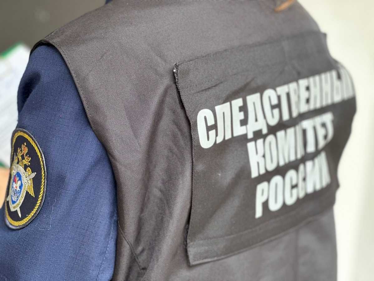 СУ СКР по Новгородской области проводит доследственную проверку.