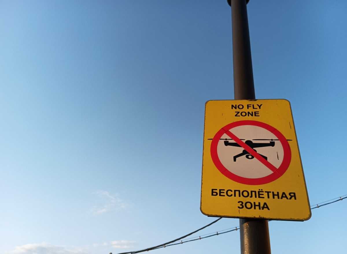 В Новгородской области сбили три БПЛА самолётного типа