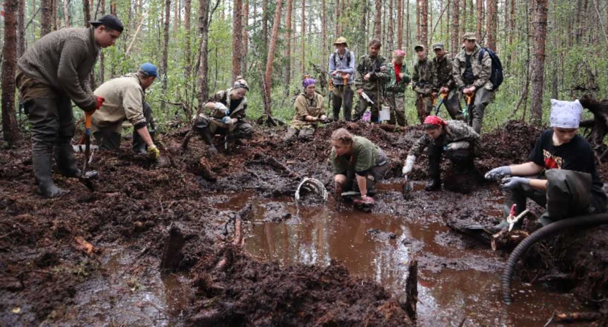 Отряд из Тюмени ведёт поиск в районе деревни Мясной Бор Новгородского района.
