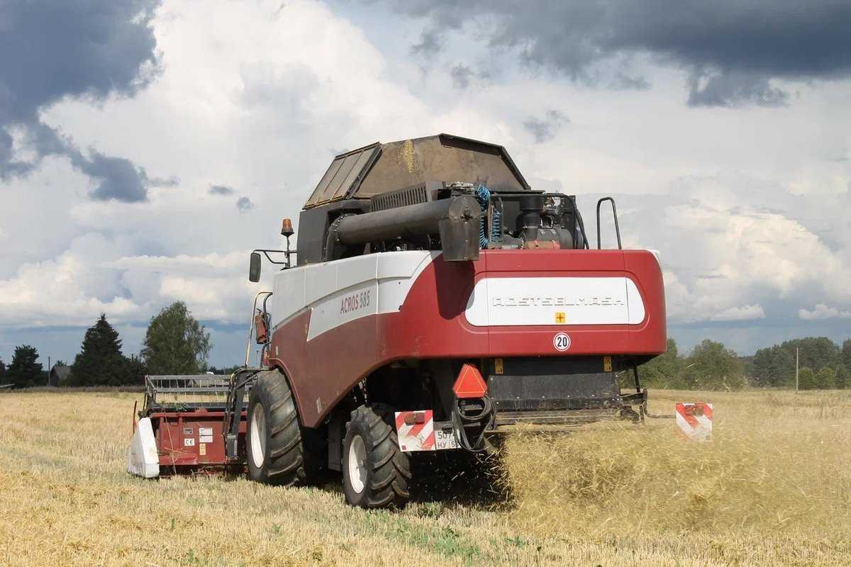 Хозяйства ведут заготовку сенажа, сена, силоса и других видов кормов.