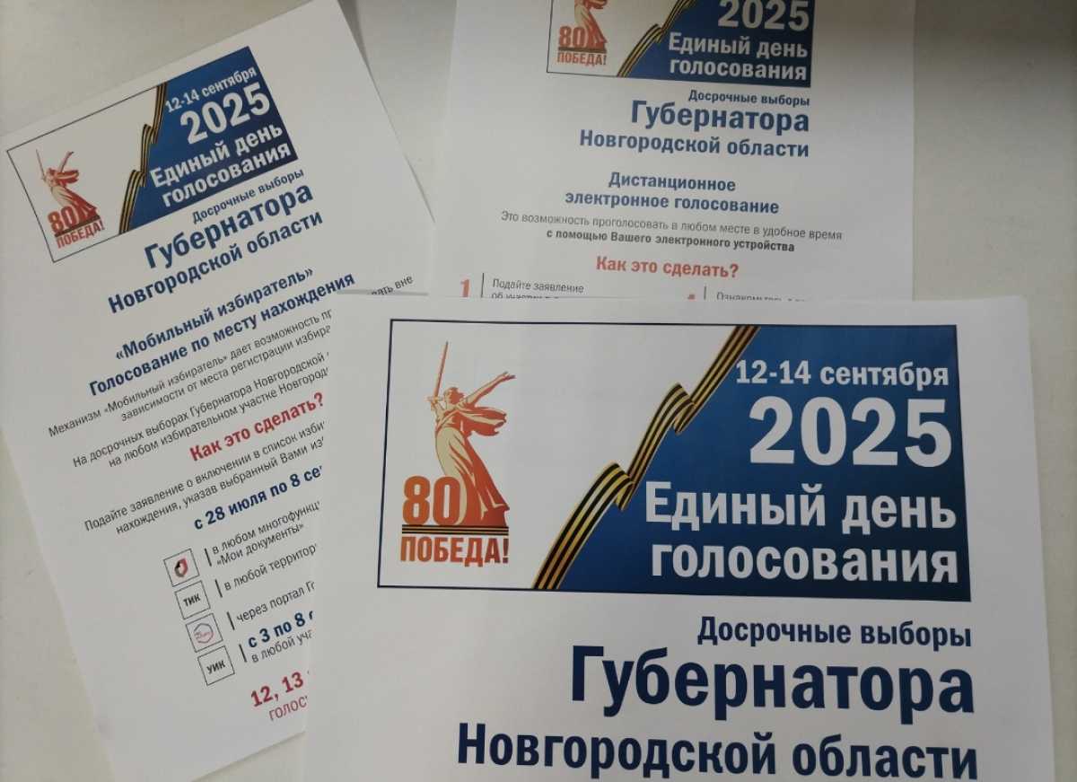 Общее число избирателей в Новгородской области, по данным на 1 июля 2025 года, составляет 468 016 че