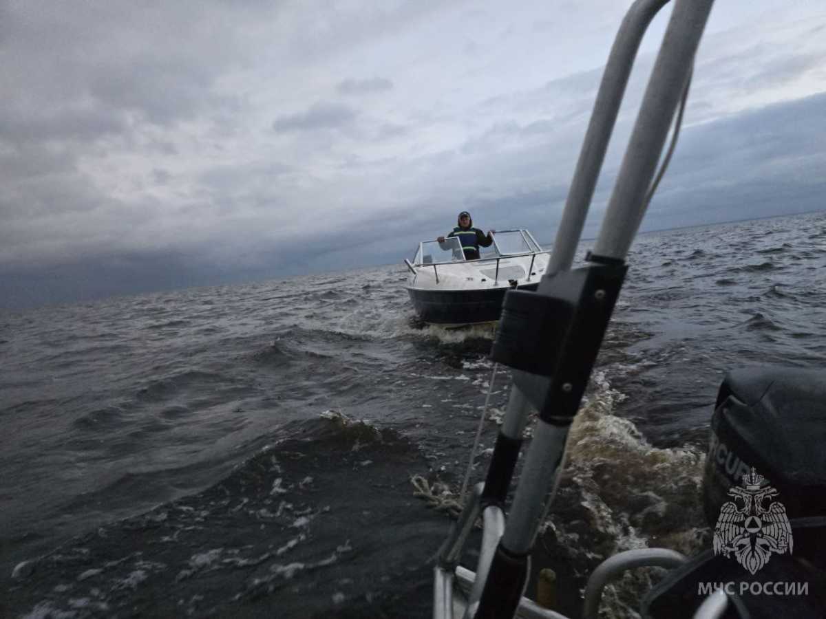 На помощь выехали спасатели Новгородского поисково-спасательного отряда.