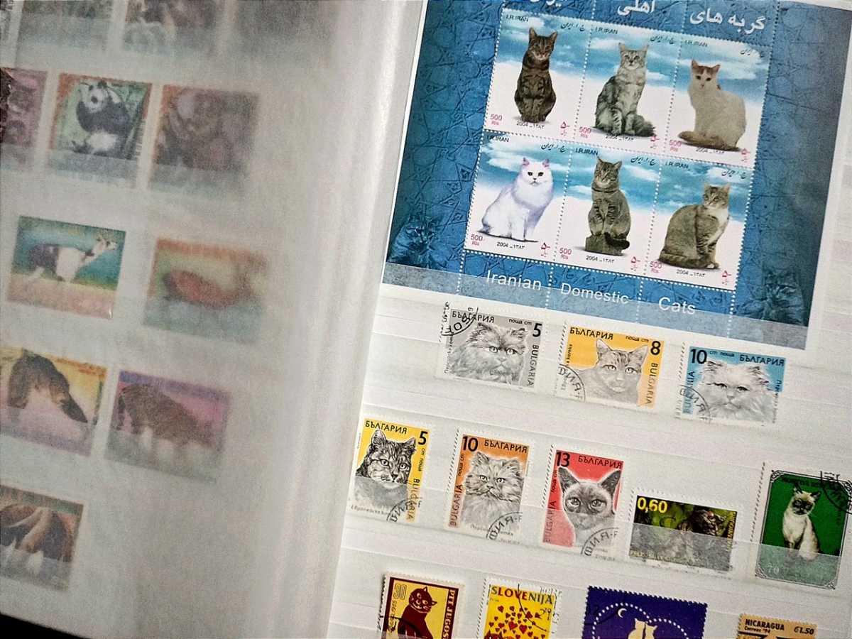 Марка остаётся востребованным средством оплаты почтовых услуг, а также ценным экземпляром для коллек