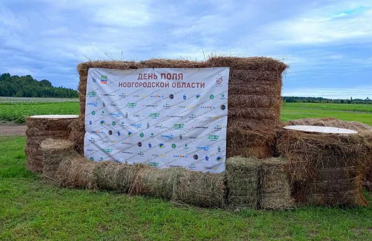 День поля-2025 собрал около 300 участников.