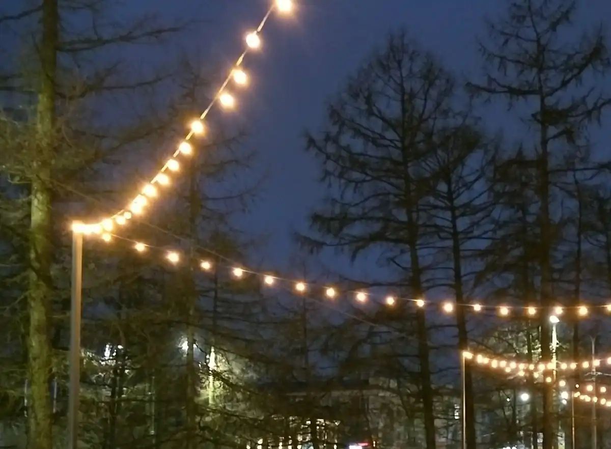 На благоустройство сквера выделили 1,8 млн рублей.