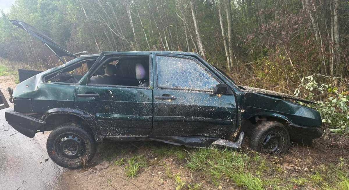 Скорая помощь доставила пострадавшего пассажира в Боровичскую ЦРБ.
