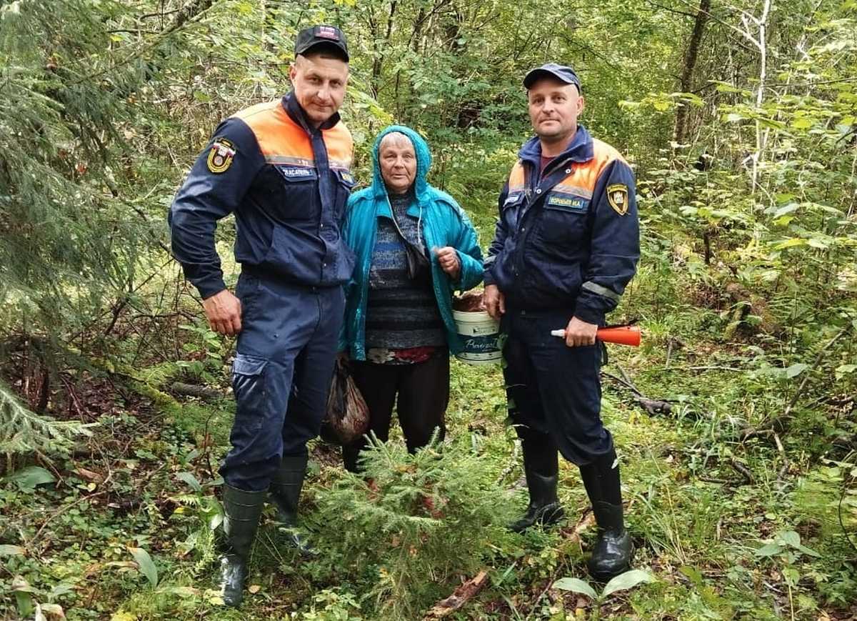 За день в экстренные службы может поступать до пяти вызовов о потерявшихся.