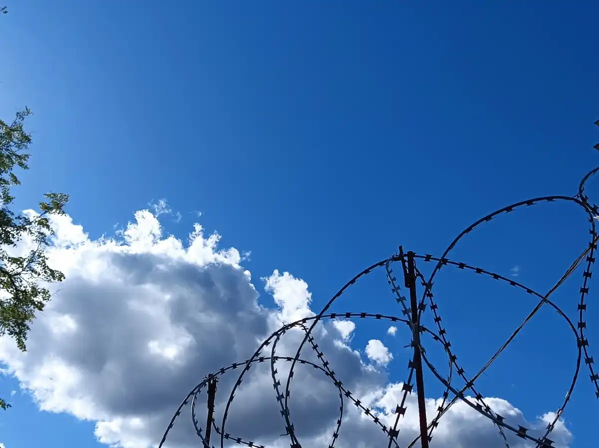 Суд приговорил новгородца к двум годам исправительной колонии строгого режима.