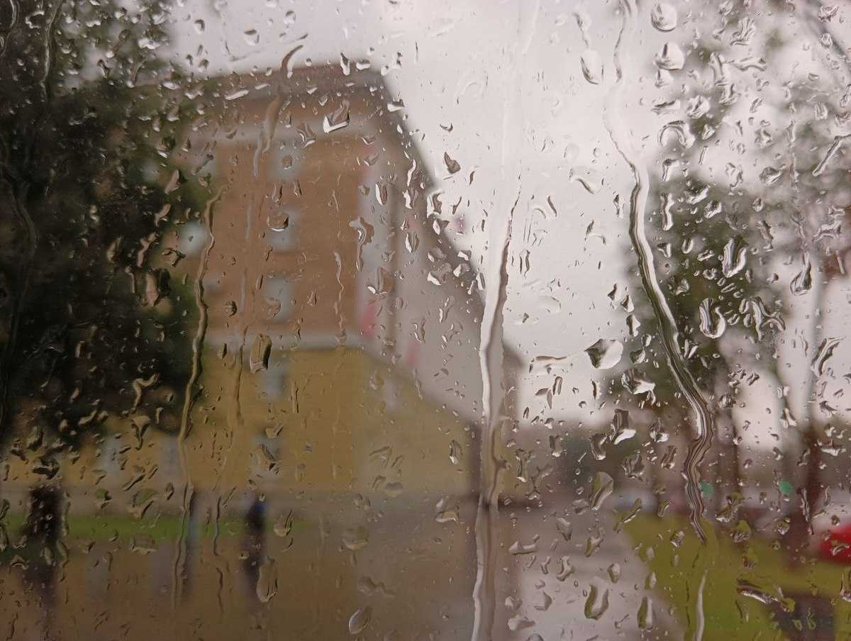 Ливни пройдут в ночь на 30 августа.