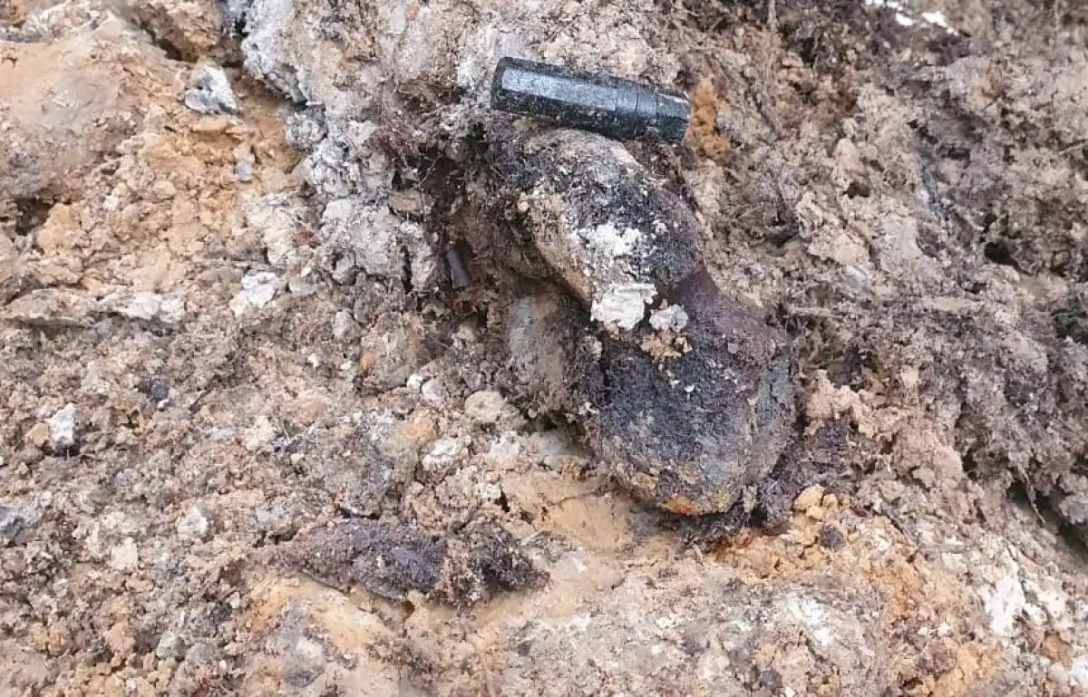 Останки бойцов нашли между урочищем Большие Дубовицы и деревней Васильевщина.