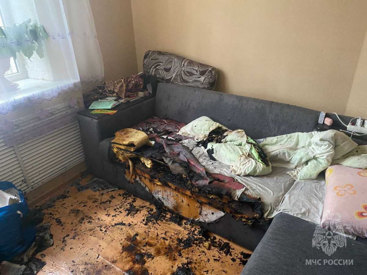 Причину пожара устанавливают органы дознания.