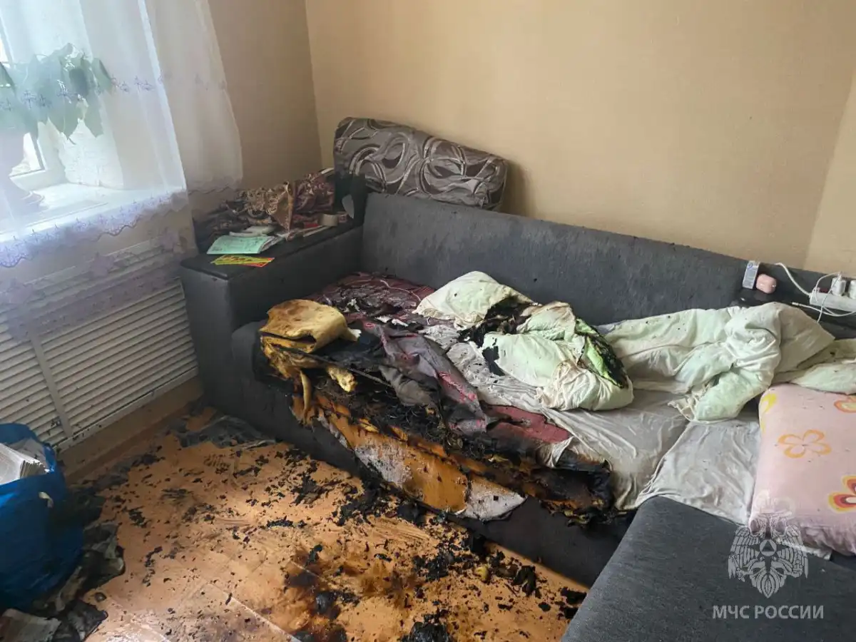 Причину пожара устанавливают органы дознания.