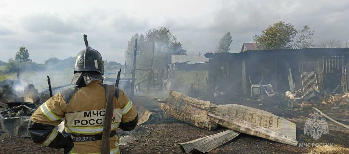 Загоревшаяся баня чуть не уничтожила дом в Чудовском округе
